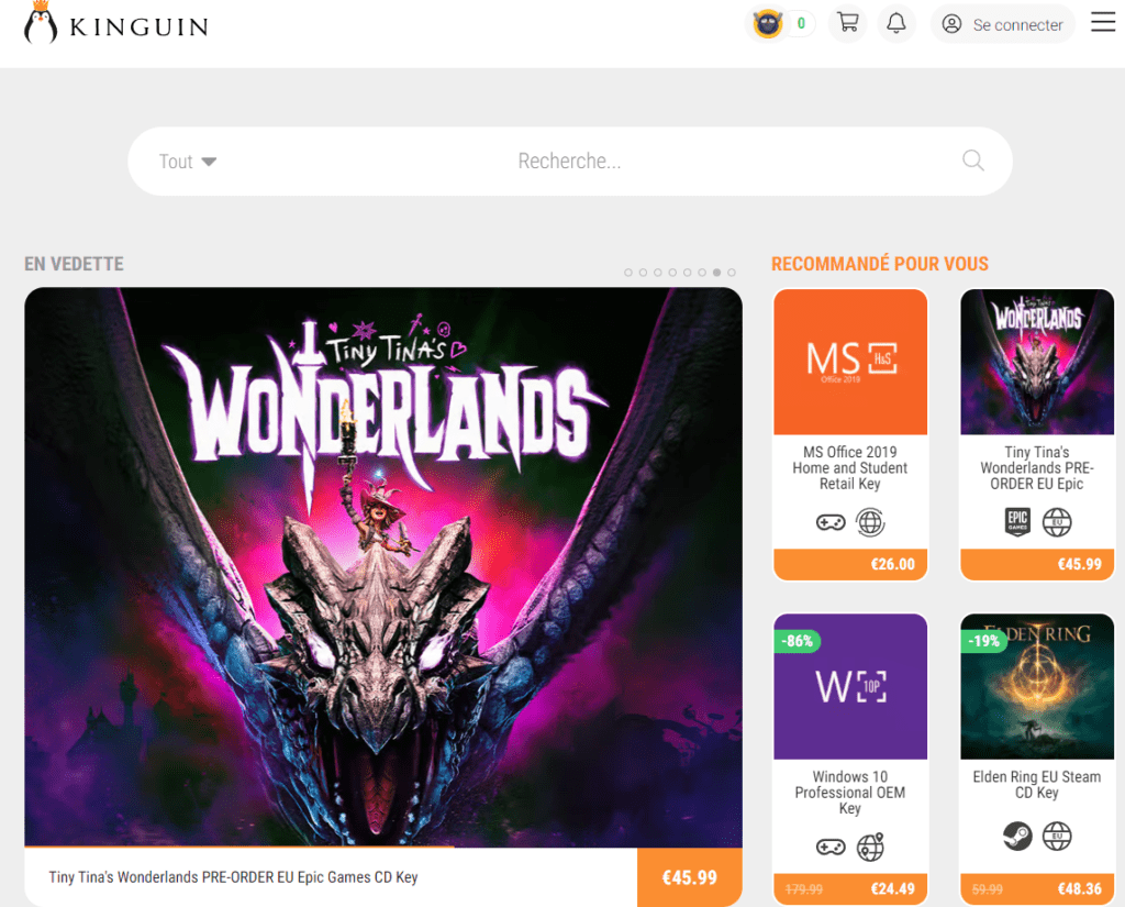 Clé de jeu PC achetée sur la marketplace Kinguin affichée à l'écran